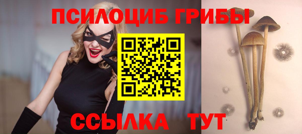 Галлюциногенные грибы GOLDEN TEACHER Сорочинск