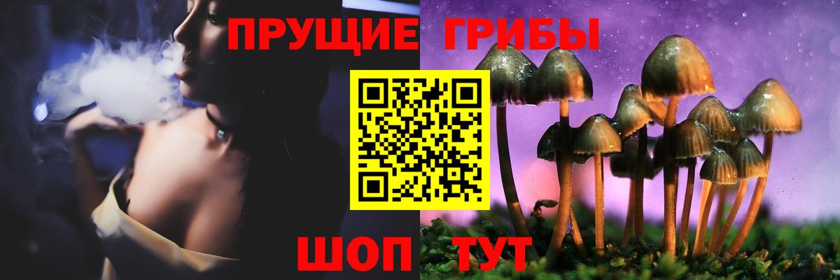 Псилоцибиновые грибы Psilocybine cubensis  Вход с VPN  Сорочинск 